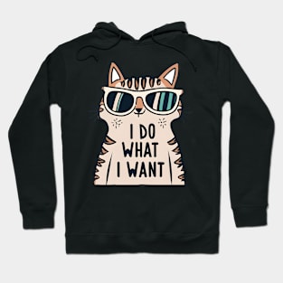 Cat I do what i want Hoodie